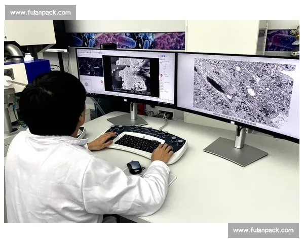 以日本AVs为中心解析产业演变审美潮流与文化影响全景观察 以日本AVs为中心解析产业演变审美潮流与文化影响全景观察